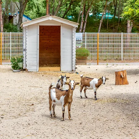 Village Pierre & Belle Dune Aparthotel 3*