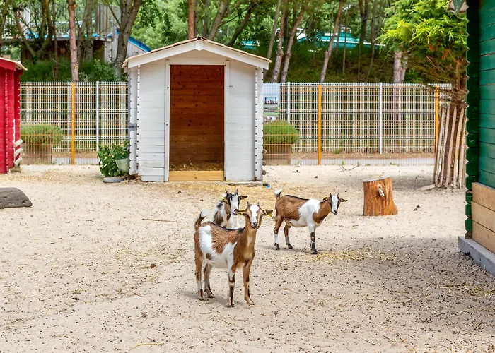 Village Pierre & Belle Dune Lägenhetshotell 3*