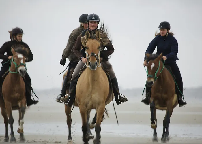 Village Pierre & Belle Dune 3*